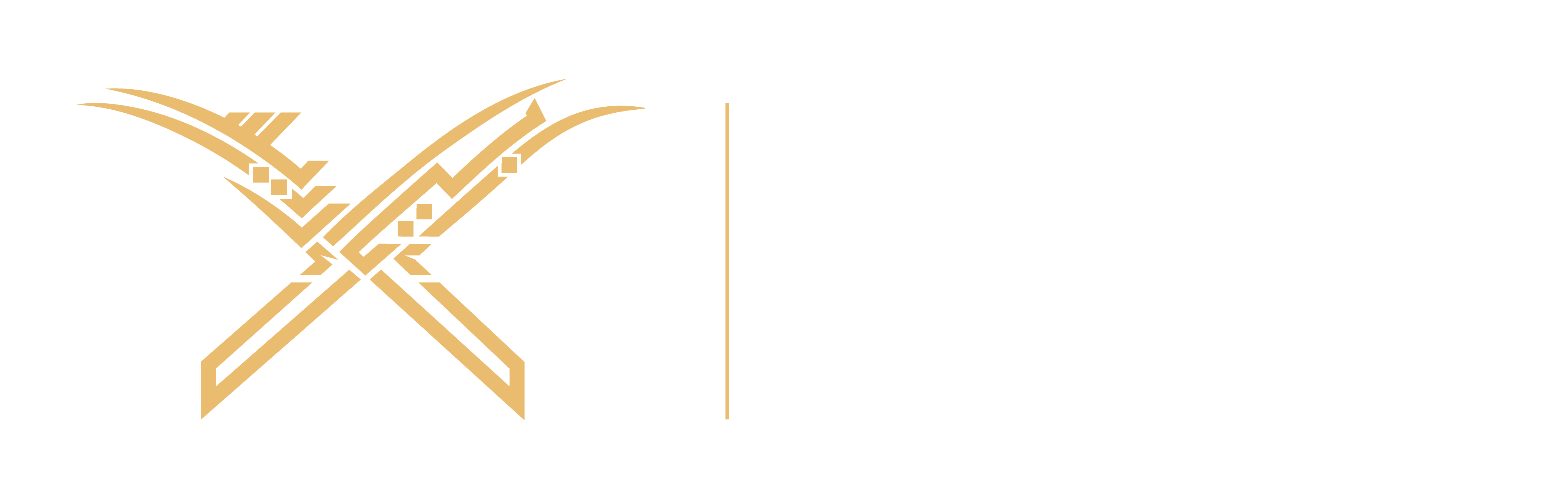 ibiidrisacademy.com